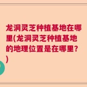 龙洞灵芝种植基地在哪里(龙洞灵芝种植基地的地理位置是在哪里？)
