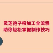 灵芝孢子粉加工全流程助你轻松掌握制作技巧