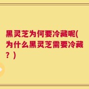黑灵芝为何要冷藏呢(为什么黑灵芝需要冷藏？)