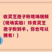 收灵芝孢子粉现场视频(现场实拍！珍贵灵芝孢子粉到手，你也可以拥有！)
