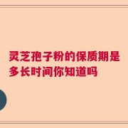 灵芝孢子粉的保质期是多长时间你知道吗