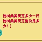 槐树桑黄灵芝多少一斤槐树桑黄灵芝售价是多少？)