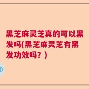 黑芝麻灵芝真的可以黑发吗(黑芝麻灵芝有黑发功效吗？)