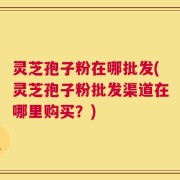 灵芝孢子粉在哪批发(灵芝孢子粉批发渠道在哪里购买？)