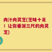 肉汁肉灵芝(芝味十足！让你垂涎三尺的肉灵芝)