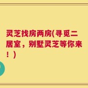 灵芝找房两房(寻觅二居室，别墅灵芝等你来！)