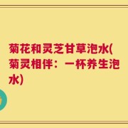 菊花和灵芝甘草泡水(菊灵相伴：一杯养生泡水)