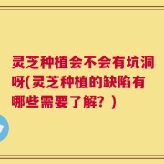 灵芝种植会不会有坑洞呀(灵芝种植的缺陷有哪些需要了解？)