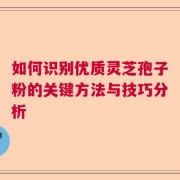 如何识别优质灵芝孢子粉的关键方法与技巧分析