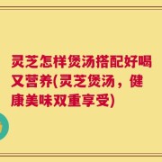 灵芝怎样煲汤搭配好喝又营养(灵芝煲汤，健康美味双重享受)