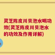 灵芝陈皮川贝泡水喝功效(灵芝陈皮川贝泡水的功效及作用详解)
