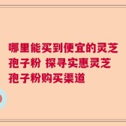 哪里能买到便宜的灵芝孢子粉 探寻实惠灵芝孢子粉购买渠道