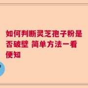 如何判断灵芝孢子粉是否破壁 简单方法一看便知