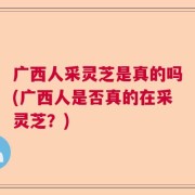 广西人采灵芝是真的吗(广西人是否真的在采灵芝？)