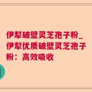 伊犁破壁灵芝孢子粉_伊犁优质破壁灵芝孢子粉：高效吸收
