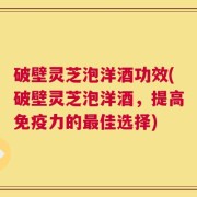 破壁灵芝泡洋酒功效(破壁灵芝泡洋酒，提高免疫力的最佳选择)