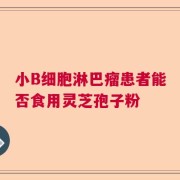小B细胞淋巴瘤患者能否食用灵芝孢子粉