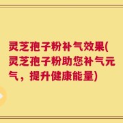 灵芝孢子粉补气效果(灵芝孢子粉助您补气元气，提升健康能量)
