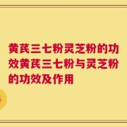 黄芪三七粉灵芝粉的功效黄芪三七粉与灵芝粉的功效及作用
