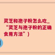 灵芝和孢子粉怎么吃_“灵芝与孢子粉的正确食用方法”)