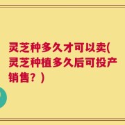 灵芝种多久才可以卖(灵芝种植多久后可投产销售？)