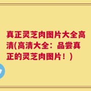 真正灵芝肉图片大全高清(高清大全：品尝真正的灵芝肉图片！)