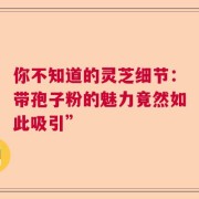 你不知道的灵芝细节：带孢子粉的魅力竟然如此吸引”