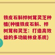 铁皮石斛桦树茸灵芝种植(种植铁皮石斛、桦树茸和灵芝：打造高效益的多功能林业系统)