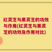 红灵芝与黑灵芝的功效与作用(红灵芝与黑灵芝的功效及作用对比)