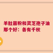 羊肚菌粉和灵芝孢子油那个好：各有千秋