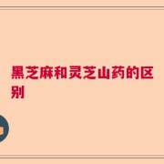 黑芝麻和灵芝山药的区别