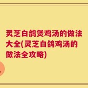 灵芝白鸽煲鸡汤的做法大全(灵芝白鸽鸡汤的做法全攻略)