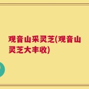 观音山采灵芝(观音山灵芝大丰收)