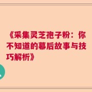 《采集灵芝孢子粉：你不知道的幕后故事与技巧解析》