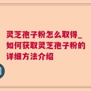 灵芝孢子粉怎么取得_如何获取灵芝孢子粉的详细方法介绍