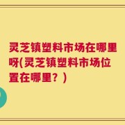 灵芝镇塑料市场在哪里呀(灵芝镇塑料市场位置在哪里？)