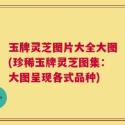 玉牌灵芝图片大全大图(珍稀玉牌灵芝图集：大图呈现各式品种)