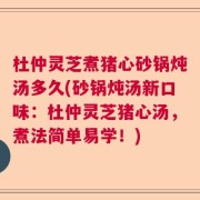 杜仲灵芝煮猪心砂锅炖汤多久(砂锅炖汤新口味：杜仲灵芝猪心汤，煮法简单易学！)