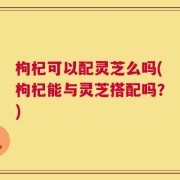 枸杞可以配灵芝么吗(枸杞能与灵芝搭配吗？)