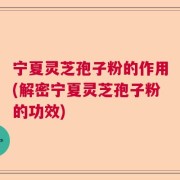 宁夏灵芝孢子粉的作用(解密宁夏灵芝孢子粉的功效)