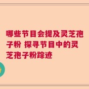 哪些节目会提及灵芝孢子粉 探寻节目中的灵芝孢子粉踪迹