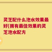 灵芝配什么泡水效果最好(拥有最佳效果的灵芝泡水配方