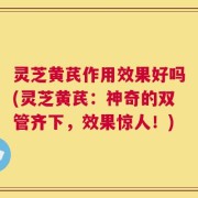 灵芝黄芪作用效果好吗(灵芝黄芪：神奇的双管齐下，效果惊人！)