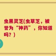 虫黑灵芝(虫草芝，被誉为“神药”，你知道吗？)
