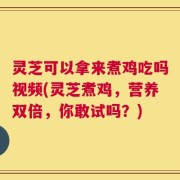 灵芝可以拿来煮鸡吃吗视频(灵芝煮鸡，营养双倍，你敢试吗？)