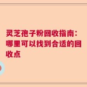 灵芝孢子粉回收指南：哪里可以找到合适的回收点