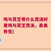 鸡与灵芝等什么煲汤好用鸡与灵芝煲汤,柔美养生)