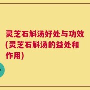 灵芝石斛汤好处与功效(灵芝石斛汤的益处和作用)