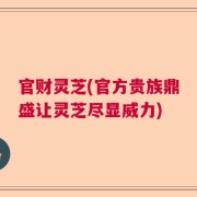 官财灵芝(官方贵族鼎盛让灵芝尽显威力)