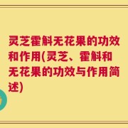 灵芝霍斛无花果的功效和作用(灵芝、霍斛和无花果的功效与作用简述)